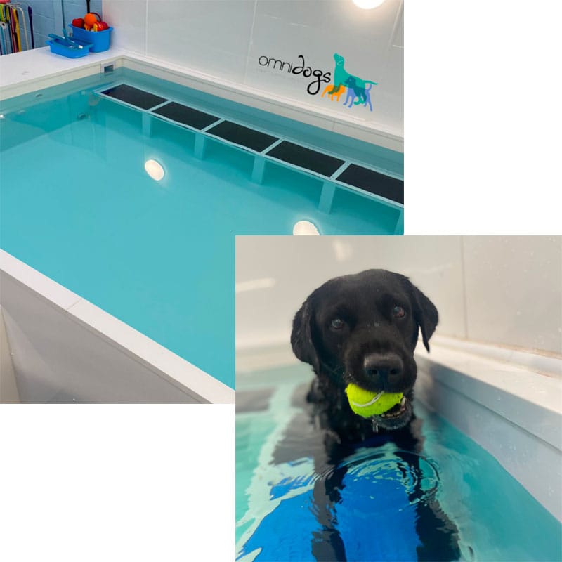 hydrotherapy-1